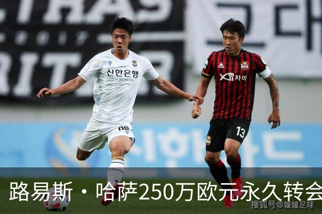 路易斯·哈萨250万欧元永久转会弗罗西诺内